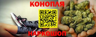 прущие крисы Канаш