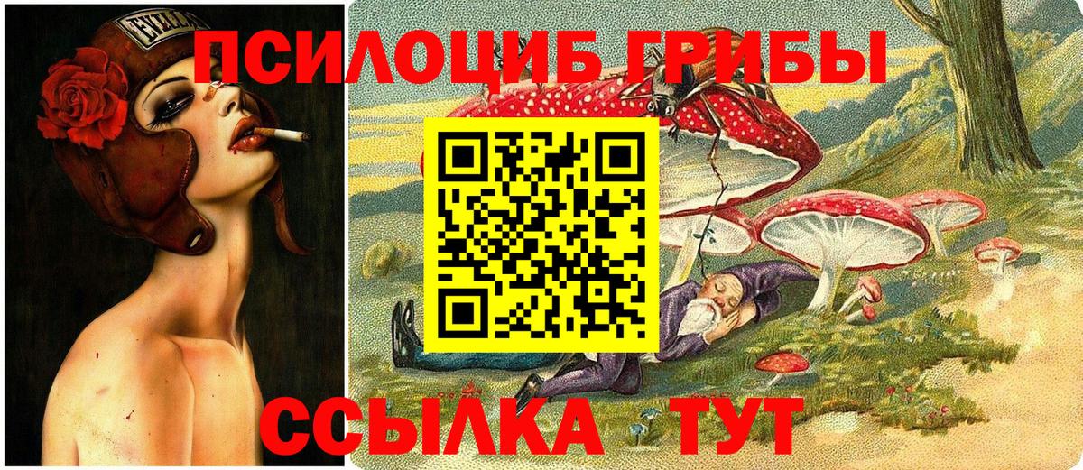 Галлюциногенные грибы Psilocybine cubensis  Вход с VPN  Псилоцибиновые грибы прущие грибы  Воткинск 